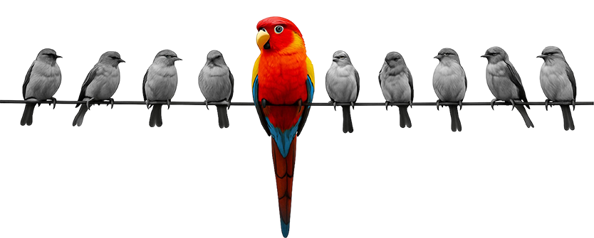 Parrot